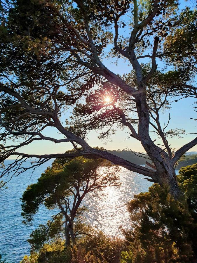 Le Nid De Darshan 2 Personnes Collobrières Eksteriør bilde